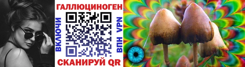 Псилоцибиновые грибы GOLDEN TEACHER  Шуя 